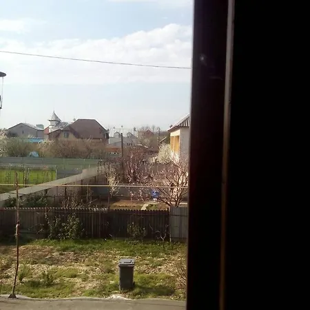 Domashnya Saduba