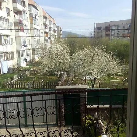 Domashnya Saduba *