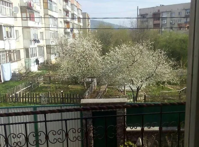 Domashnya Saduba *